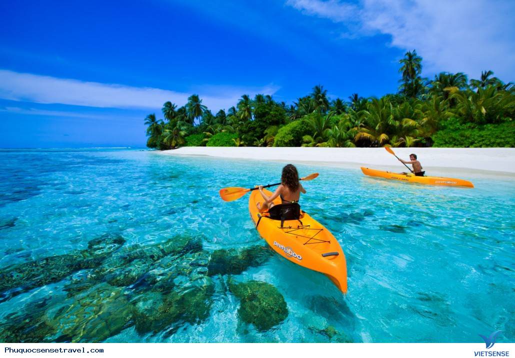 Phú Quốc Phát triển Lữ Hành
sinh thái - Ảnh 2 Phú Quốc Phát triển Lữ Hành
sinh thái - Ảnh 2