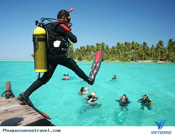 Phú Quốc Phát triển Lữ Hành
sinh thái - Ảnh 1 Phú Quốc Phát triển Lữ Hành
sinh thái - Ảnh 1