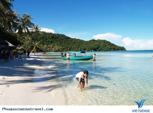 Phú Quốc Phát triển Lữ Hành
sinh thái - Ảnh 3 Phú Quốc Phát triển Lữ Hành
sinh thái - Ảnh 3