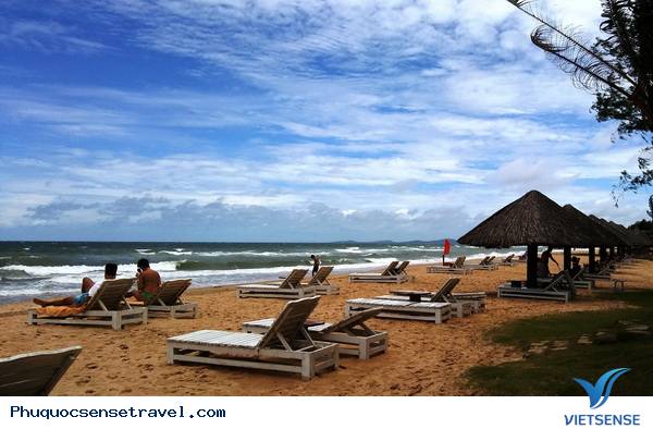 Phú Quốc Phát triển Lữ Hành
 xanh - Ảnh 5 Phú Quốc Phát triển Lữ Hành
 xanh - Ảnh 5