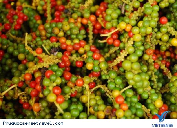 Tiêu Phú Quốc Tiêu Phú Quốc