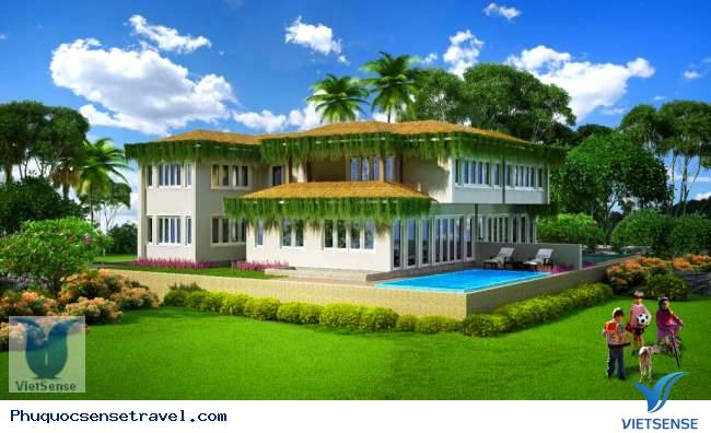 biệt thự trong rừng