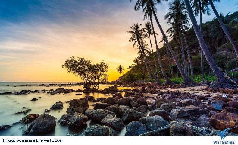 Review Green Hat Holiday - Ảnh 2