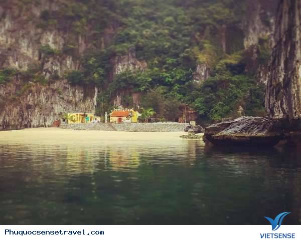 Sao bom tấn King Kong thích thú với các hoạt động bên lề - Ảnh 4