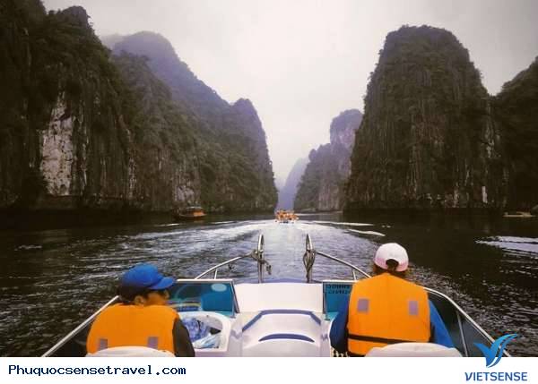 Sao bom tấn King Kong thích thú với các hoạt động bên lề - Ảnh 5