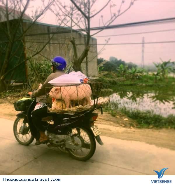 Sao bom tấn King Kong thích thú với các hoạt động bên lề - Ảnh 6