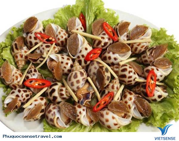 Sò- Ốc đặc sản Phú Quốc - Ảnh 4 Sò- Ốc đặc sản Phú Quốc - Ảnh 4