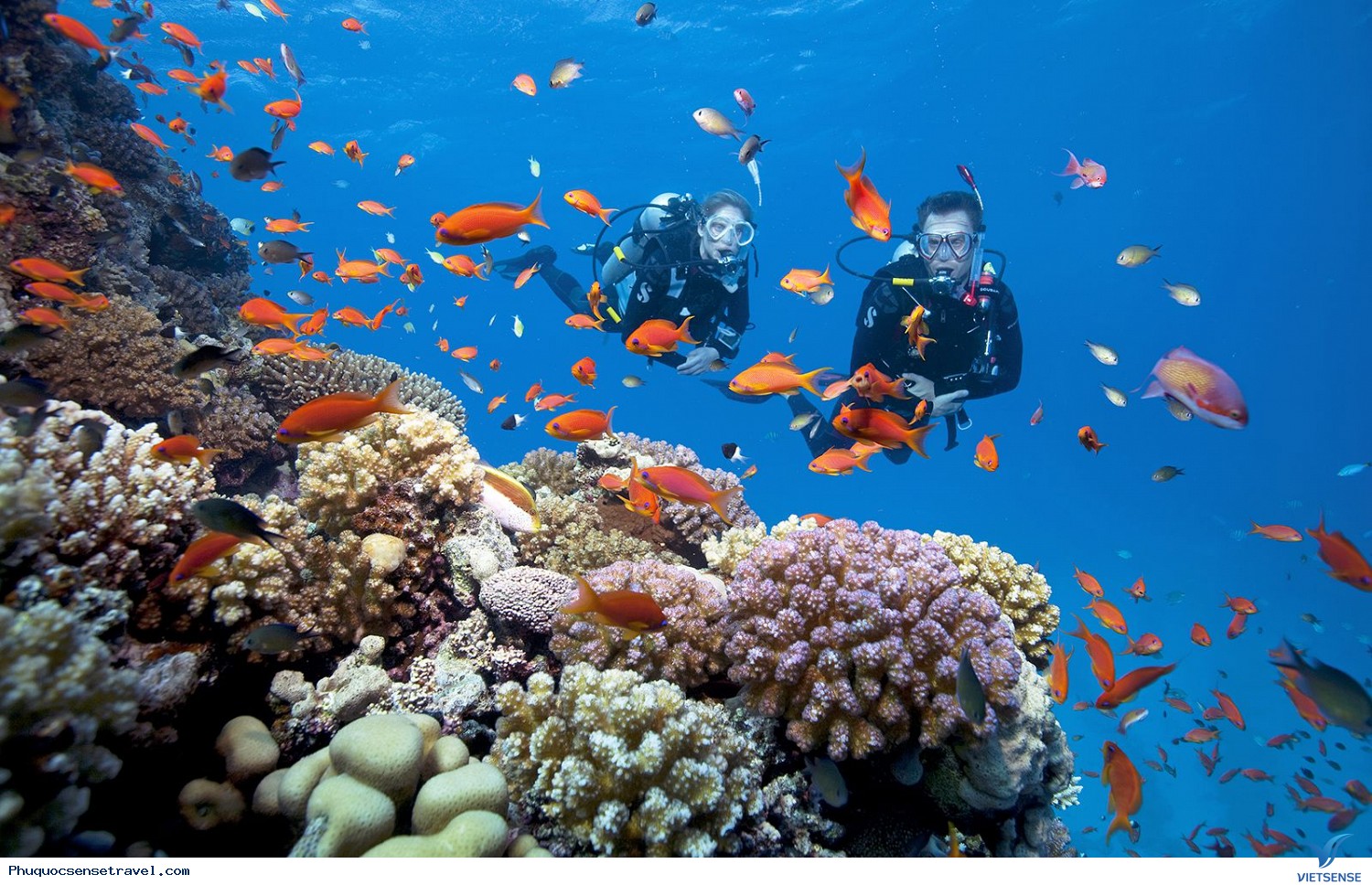 Sự đa dạng sinh học tại hòn Rơi