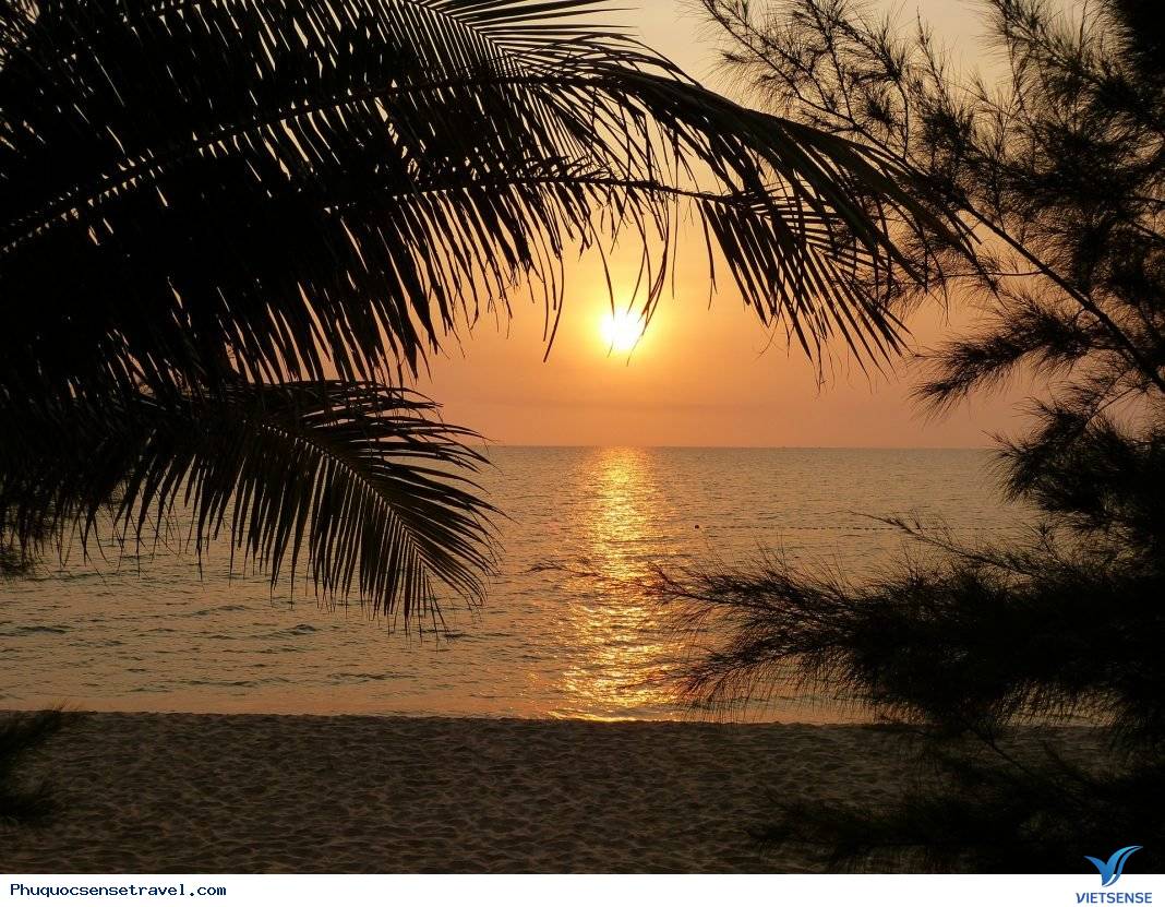 Sự đa dạng theo mùa của đảo Phú Quốc