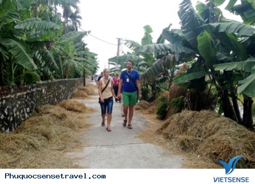 Sức Hấp Dẫn Của Một Làng Quê Bắc Bộ - Ảnh 1