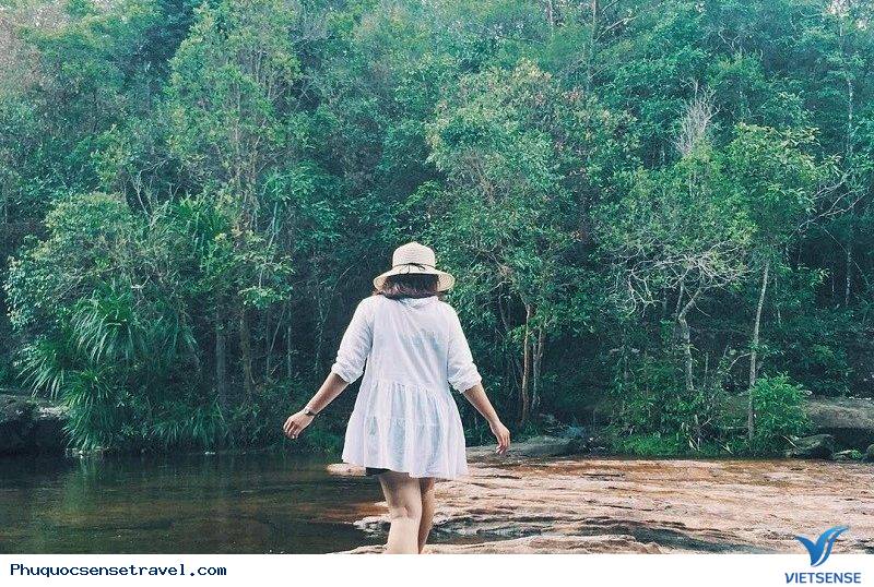 Suối Đá Bàn Phú Quốc- Địa điểm thú vị khi đến đây