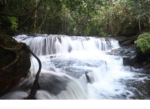 Đường đi đến Suối Tranh Đường đi đến Suối Tranh