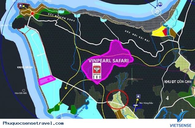Các hoạt động bảo tồn động vật