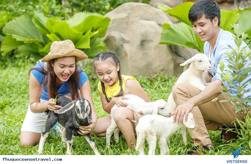 Tham quan khu bảo tồn hoang dã và khu thăm thú baby Tham quan khu bảo tồn hoang dã và khu thăm thú baby