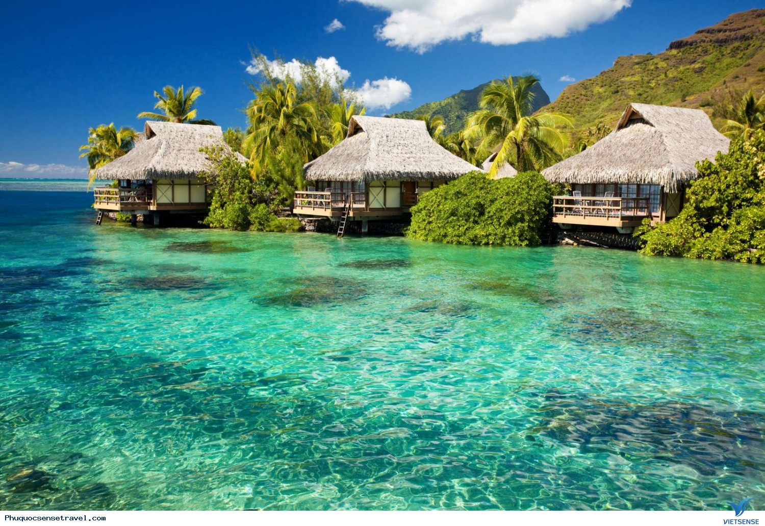 thiên đường thăm quan, trải nghiệm
 đảo ngọc Phú Quốc - Ảnh 3