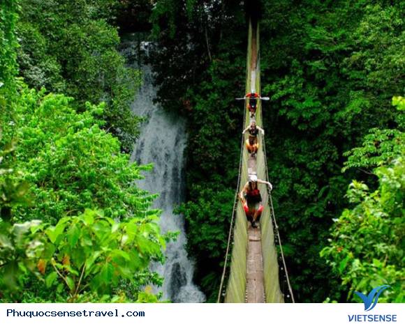 thiên đường thăm quan, trải nghiệm
 đảo ngọc Phú Quốc - Ảnh 2