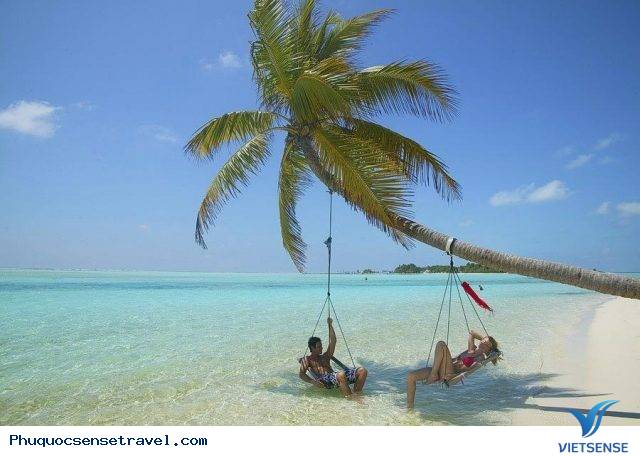 Thời điểm tốt nhất để đến Bãi Sao