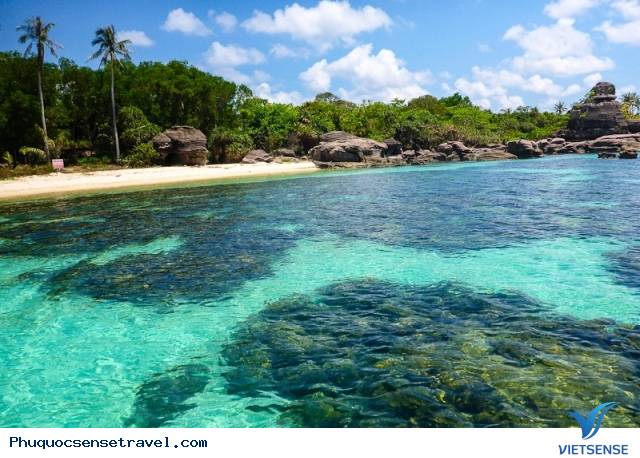 Tiềm năng Phát triển Lữ Hành
 tại Phú Quốc - Ảnh 4