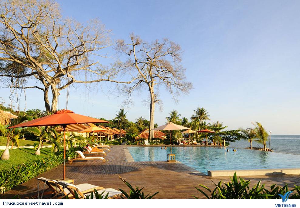 Tiềm năng Phát triển Lữ Hành
 tại Phú Quốc - Ảnh 2