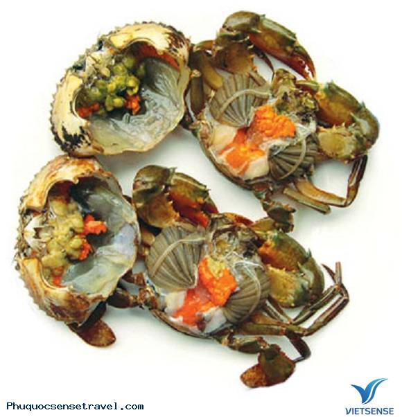 Giới thiệu Giới thiệu