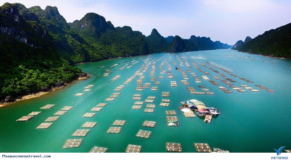 Tổng quan Phú Quốc Tổng quan Phú Quốc