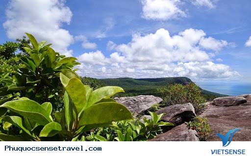 Tổng quan về dãy núi Hàm Ninh - Ảnh 1