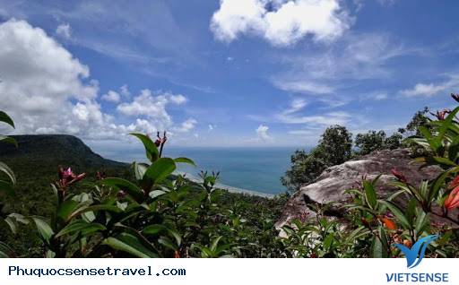 Tổng quan về dãy núi Hàm Ninh - Ảnh 3