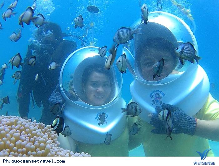Lặn biển ở Nha Trang Lặn biển ở Nha Trang