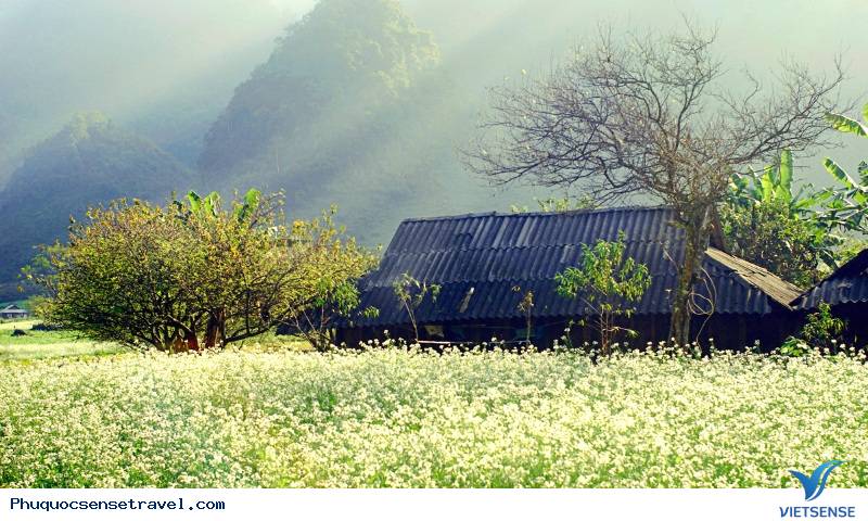 Tây Bắc và Đông Bắc Tây Bắc và Đông Bắc