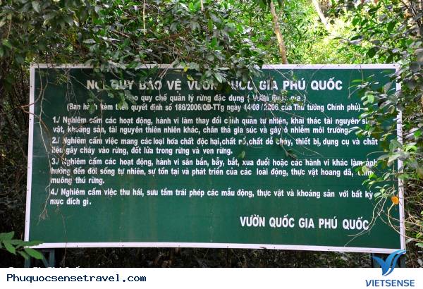 Chạy xe máy xuyên rừng quốc gia Chạy xe máy xuyên rừng quốc gia