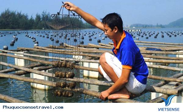 du lich phu quoc du lich phu quoc