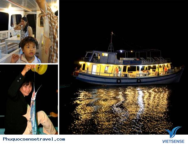 Câu mực đêm Câu mực đêm