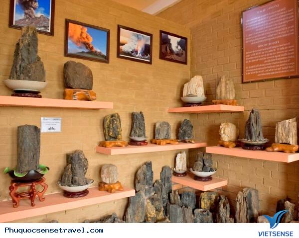 Thăm bảo tàng Cội Nguồn Thăm bảo tàng Cội Nguồn