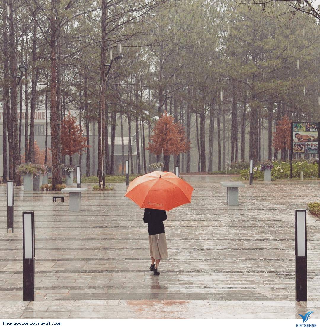 Các Kinh Nghiệm Khám Phá Phú Quốc - Ảnh 2