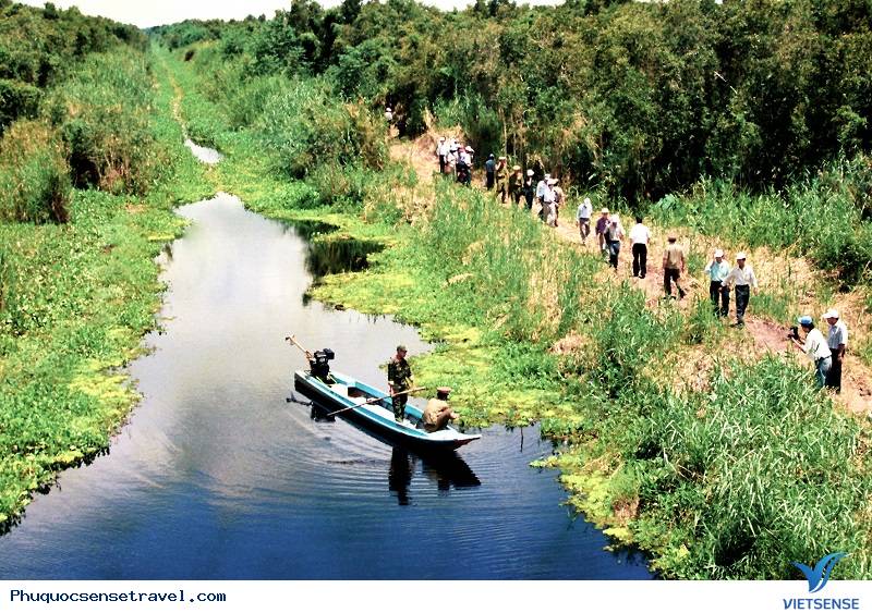 chương trình chèo thuyền đi cầu khỉ ở U Minh Thượng - Ảnh 4