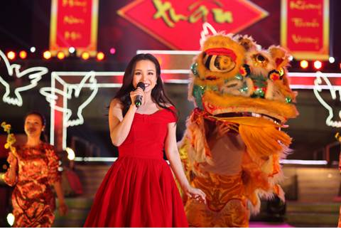 TP HCM Đón Chào Năm Mới - Ảnh 2