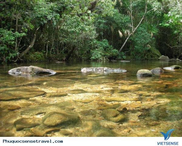 Trải nghiệm một ngày trên đảo Phú Quốc - Ảnh 3