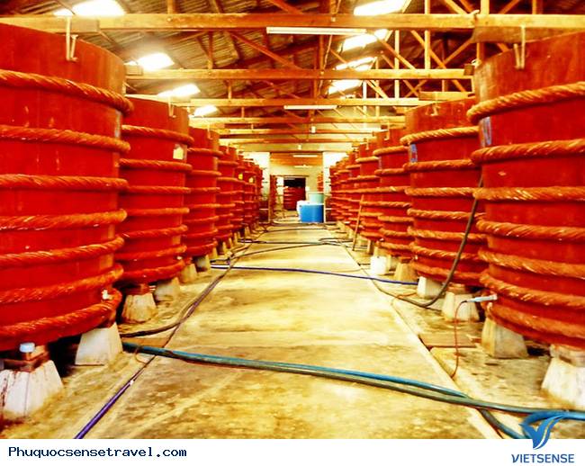 Trải nghiệm một ngày trên đảo Phú Quốc - Ảnh 2