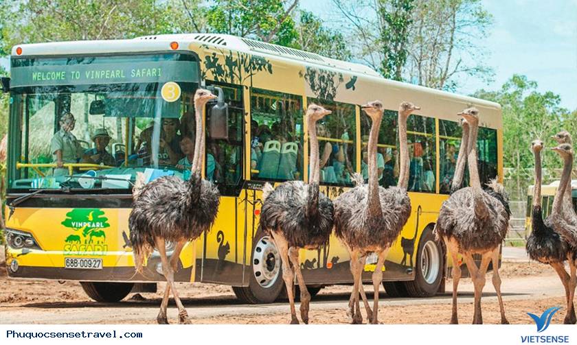 Trải nghiệm “nhốt người, thả thú” độc nhất vô nhị Trải nghiệm “nhốt người, thả thú” độc nhất vô nhị
