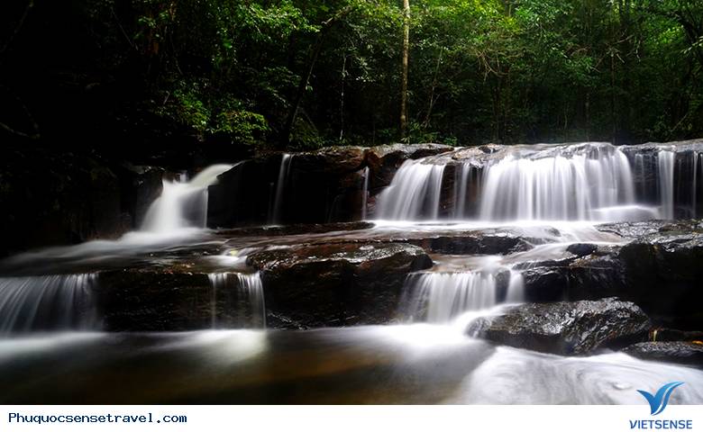 Trải nghiệm những điểm thăm quan lý tưởng tại Phú Quốc - Ảnh 4 Trải nghiệm những điểm thăm quan lý tưởng tại Phú Quốc - Ảnh 4