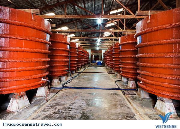 Trải nghiệm những điểm thăm quan lý tưởng tại Phú Quốc - Ảnh 6 Trải nghiệm những điểm thăm quan lý tưởng tại Phú Quốc - Ảnh 6