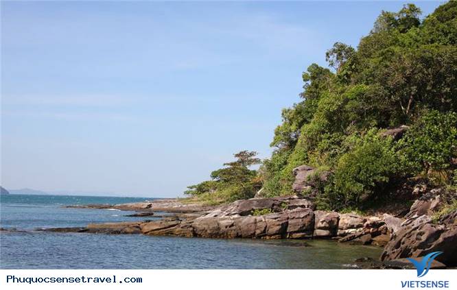 Trải nghiệm những điểm thăm quan lý tưởng tại Phú Quốc - Ảnh 7 Trải nghiệm những điểm thăm quan lý tưởng tại Phú Quốc - Ảnh 7