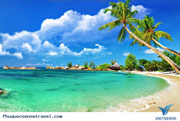 Trải nghiệm tại thành phố thông minh Phú Quốc - Ảnh 3 Trải nghiệm tại thành phố thông minh Phú Quốc - Ảnh 3