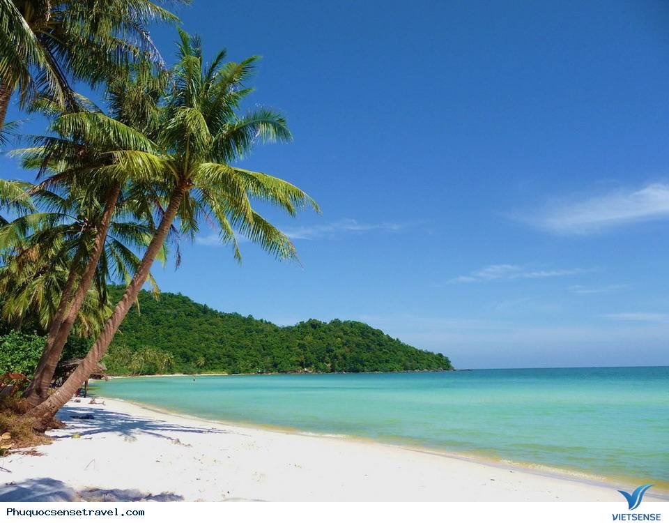 Trải nghiệm tại thành phố thông minh Phú Quốc - Ảnh 2 Trải nghiệm tại thành phố thông minh Phú Quốc - Ảnh 2