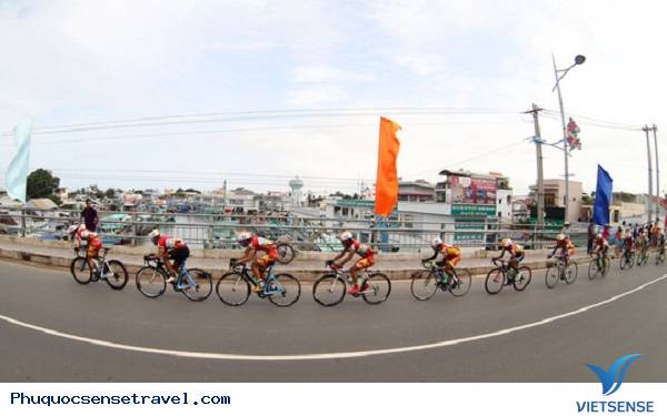 Trung tâm hành trình sinh thái biển Phú Quốc - Ảnh 2 Trung tâm hành trình sinh thái biển Phú Quốc - Ảnh 2