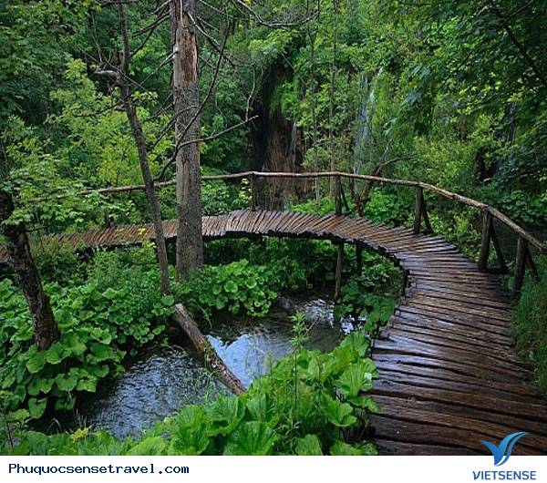 Trung tâm hành trình sinh thái biển Phú Quốc - Ảnh 3 Trung tâm hành trình sinh thái biển Phú Quốc - Ảnh 3