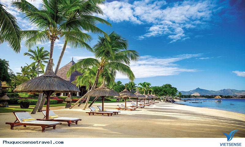 Trung tâm hành trình sinh thái biển Phú Quốc - Ảnh 4 Trung tâm hành trình sinh thái biển Phú Quốc - Ảnh 4