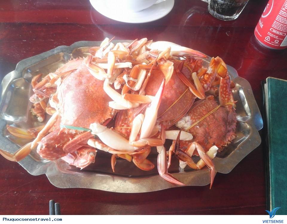 Tường thuật một chuyến du lịch Phú Quốc của lữ khách Tường thuật một chuyến du lịch Phú Quốc của lữ khách