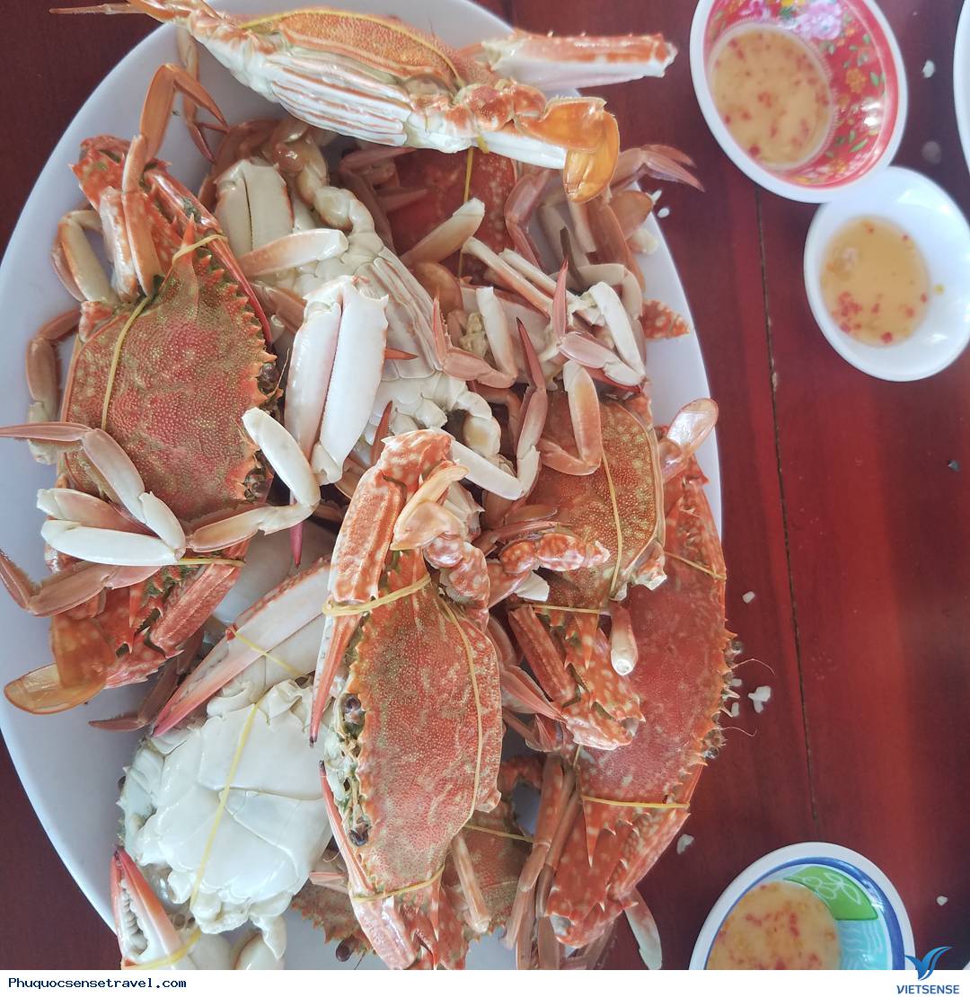 Vài nét đặc sắc về làng chài Hàm Ninh - Ảnh 2