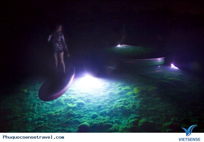 Ván gắn đèn led - ý tưởng tuyệt vời